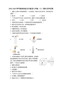 2022-2023学年陕西省延安市富县九年级（上）期末化学试卷（含解析）