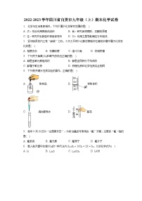 2022-2023学年四川省自贡市九年级（上）期末化学试卷（含解析）