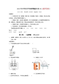 2023年中考化学考前押题超车卷B（武汉专用）（原卷版）