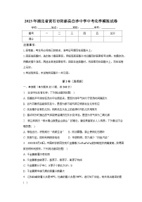 2023年湖北省黄石市阳新县白沙中学中考化学模拟试卷（含解析）