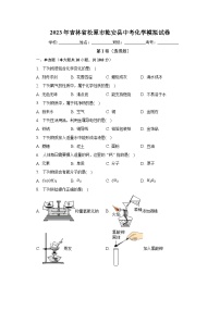 2023年吉林省松原市乾安县中考化学模拟试卷（含解析）