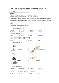 2023年辽宁省抚顺市东洲区中考化学模拟试卷(一)(含解析)