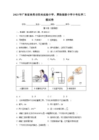 2023年广东省东莞市阳光实验中学、厚街湖景中学中考化学二模试卷（含解析）