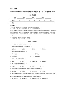 2022-2023学年上海市尚德实验学校九年（下）月考化学试卷（3月份）（含解析）