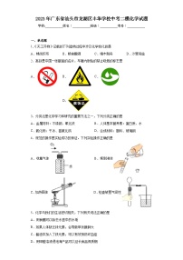 2023年广东省汕头市龙湖区丰华学校中考二模化学试题(含答案)