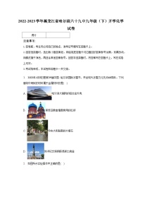 2022-2023学年黑龙江省哈尔滨六十九中九年级（下）开学化学试卷（含解析）