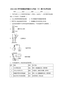 2022-2023学年湖南省常德市九年级（下）期中化学试卷（含解析）