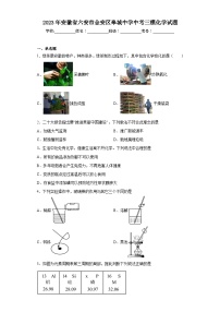 2023年安徽省六安市金安区皋城中学中考三模化学试题（含解析）