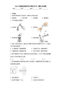 2023年湖南省株洲市石峰区中考二模化学试题（含解析）