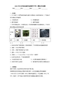 2023年江苏省盐城市盐都区中考三模化学试题（含解析）