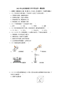 2023年山东省泰安市第六中学中考一模化学试卷（解析版）