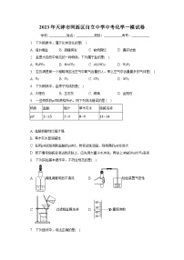 2023年天津市河西区自立中学中考化学一模试卷（含解析）