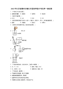 2023年江苏省泰州市靖江外国语学校中考化学一调试卷（含解析）