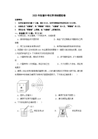 2023年安徽省中考化学冲刺模拟卷