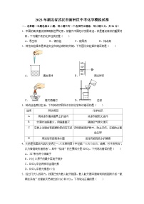 2023年湖北省武汉市新洲区中考化学模拟试卷