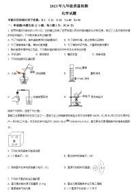 2023年江苏省连云港市海州区中考一模化学试题（含答案）