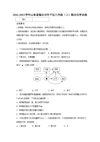 2022-2023学年山东省烟台市牟平区八年级（上）期末化学试卷（含解析）