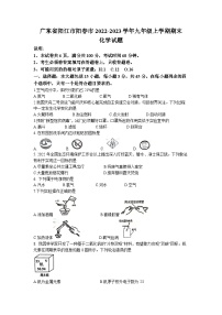 广东省阳江市阳春市2022-2023学年九年级上学期期末化学试题