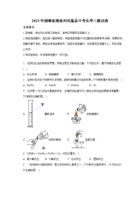 2023年湖南省湘西州凤凰县中考化学三模试卷-普通用卷