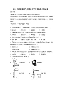 2023年河南省驻马店重点中学中考化学二模试卷