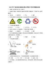 2023年广西北海市银海区重点学校中考化学模拟试卷