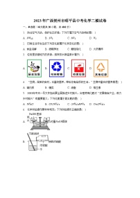 2023年广西贺州市昭平县中考化学二模试卷