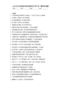2023年江苏省徐州市沛县第五中学中考二模化学试题(含答案)
