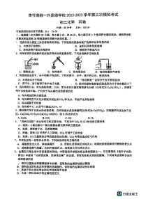 2023青竹湖湘一第三次模拟考试初三化学试卷