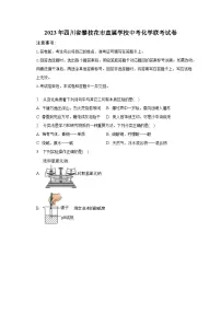 2023年四川省攀枝花市直属学校中考化学联考试卷(含解析)