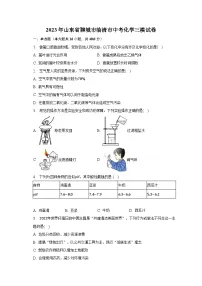 2023年山东省聊城市临清市中考化学三模试卷(含解析)