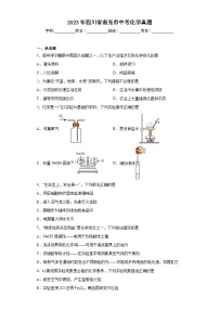 2023年四川省南充市中考化学真题（含解析）