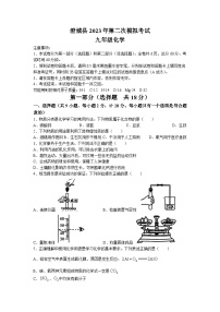 2023年陕西省渭南市澄城县中考二模化学试题