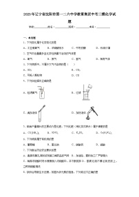 2023年辽宁省沈阳市第一二六中学教育集团中考三模化学试题(含答案)