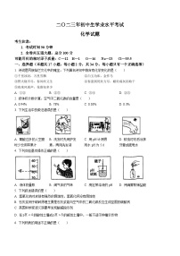 2023年黑龙江省鸡西市虎林市实验中学中考模拟化学试题