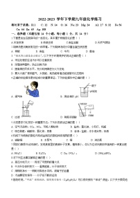 2023年河南省郑州市外国语中学中考二模化学试题(含答案)