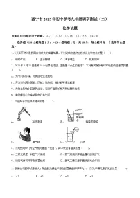 2023年青海省西宁市中考二模化学试题(含答案)