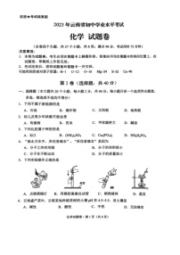 2023年云南省初中学业水平考试化学试卷