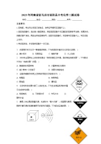 2023年河南省驻马店市泌阳县中考化学三模试卷（含解析）