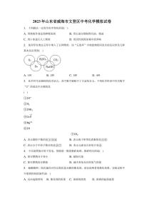 2023年山东省威海市文登区中考化学模拟试卷