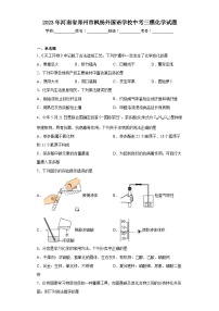 2023年河南省郑州市枫杨外国语学校中考三模化学试题（含答案）