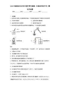 2023年湖南省长沙市开福区青竹湖湘一外国语学校中考三模化学试题（含答案）