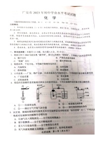 2023年四川省广安市中考化学真题