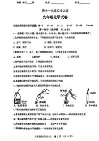 2023年陕西西安工业大学附属中学九年级中考第十一次模拟化学试题