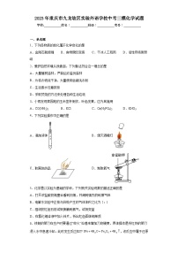 2023年重庆市九龙坡区实验外语学校中考三模化学试题（含解析）