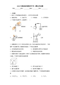 2023年海南省琼海市中考二模化学试题（含解析）