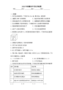 2023年安徽省中考化学真题(含解析)