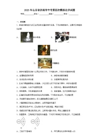 2023年山东省济南市中考第四次模拟化学试题（含解析）