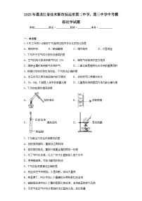 2023年黑龙江省佳木斯市抚远市第二中学，第三中学中考模拟化学试题（含解析）