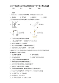 2023年湖南省长沙市雨花区雅礼实验中学中考二模化学试题（含解析）