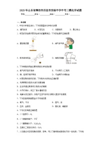 2023年山东省潍坊市昌邑市实验中学中考三模化学试题（含解析）